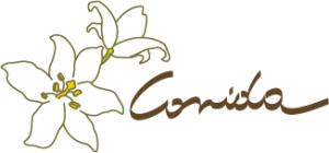 Logo Comida: Weiße Blume mit braun-gelber Umrandung und Blütenkopf
